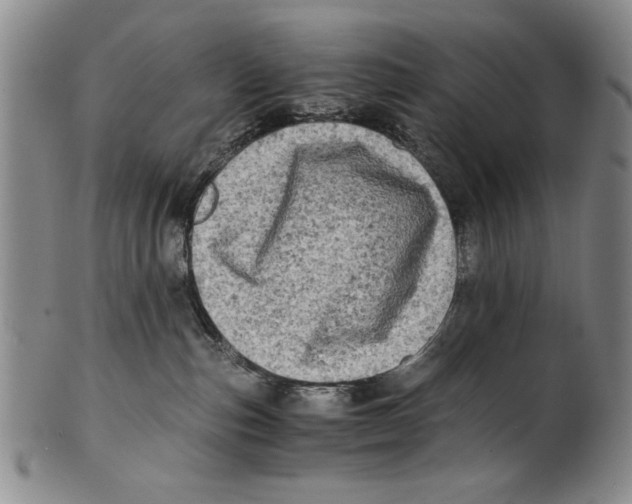 X0000100760187200807171350