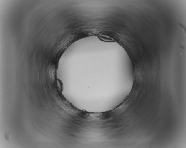 X0000100760188200807171350