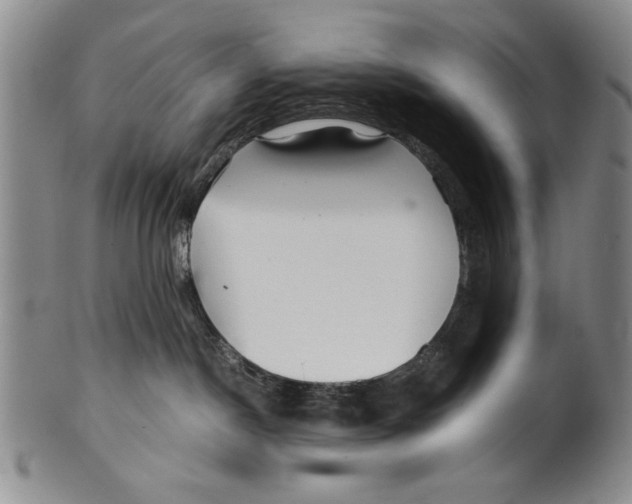 X0000100760190200807171350