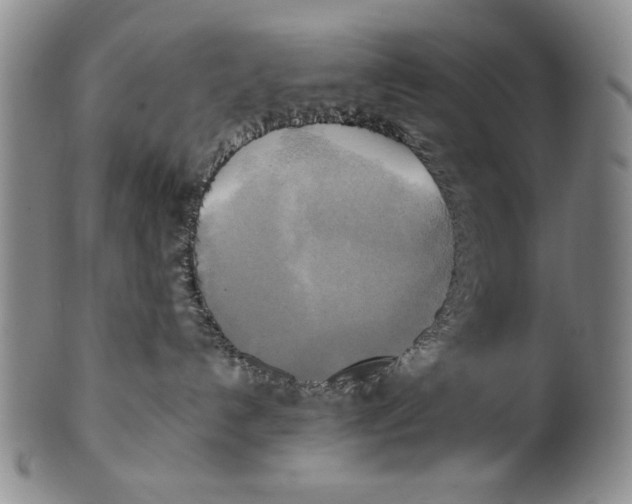 X0000100760192200807171350