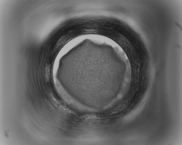 X0000100760194200807171349