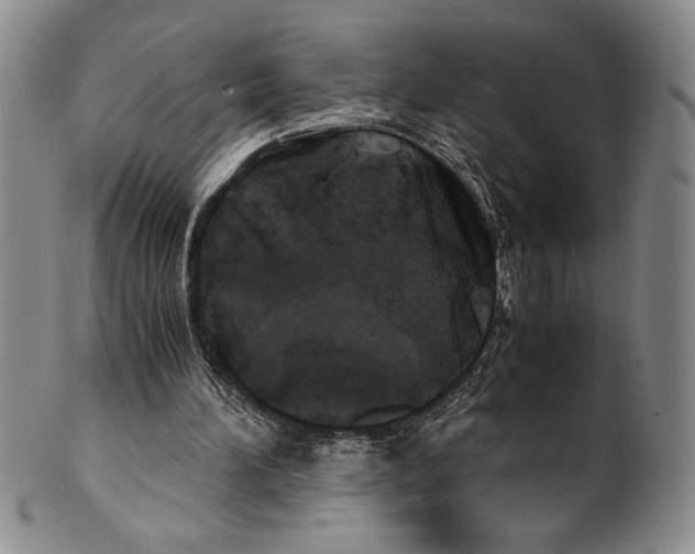 X0000100760196200807171349