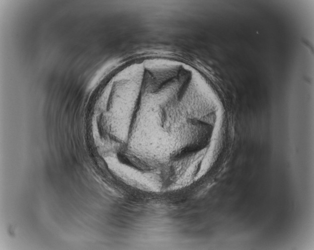 X0000100760199200807171349