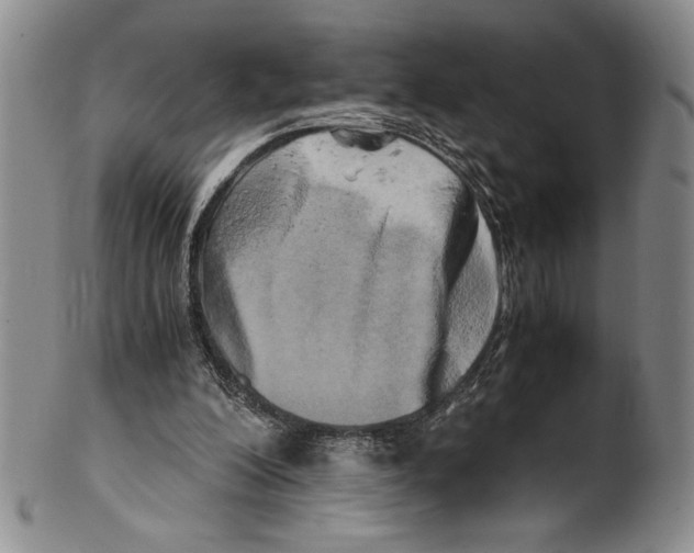 X0000100760200200807171349