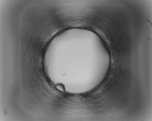 X0000100760201200807171349