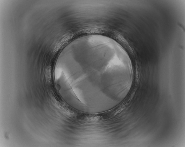 X0000100760202200807171349