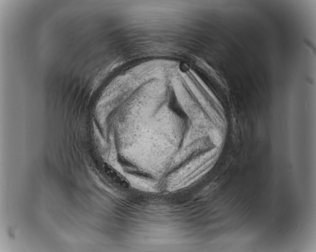 X0000100760203200807171349