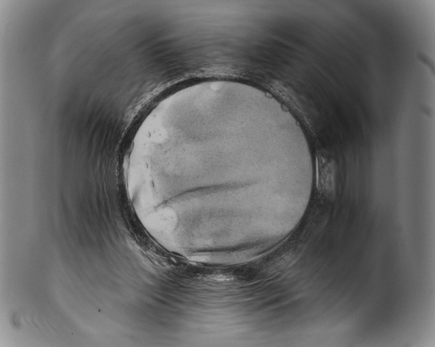 X0000100760204200807171349