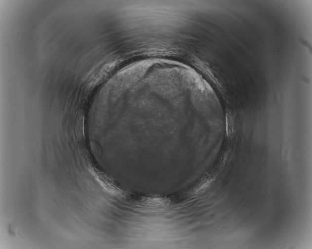 X0000100760205200807171349