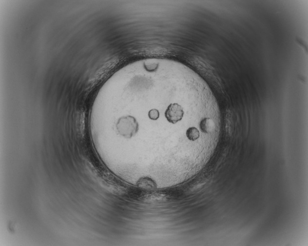 X0000100760206200807171349