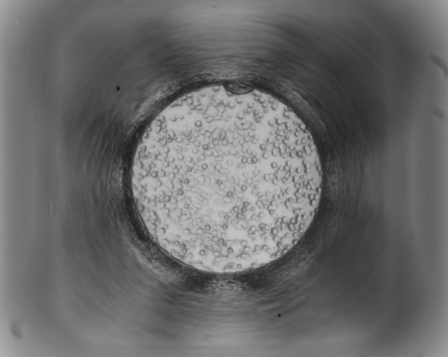 X0000100760207200807171349