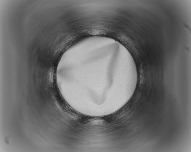 X0000100760210200807171349