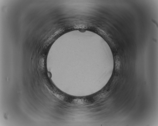 X0000100760211200807171349