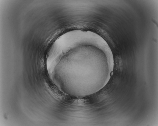X0000100760212200807171349