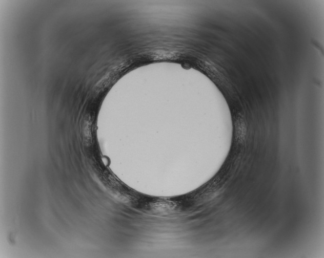 X0000100760215200807171349