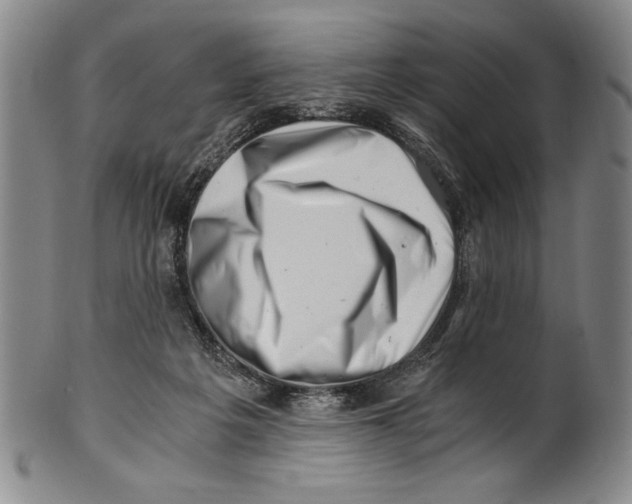 X0000100760217200807171349