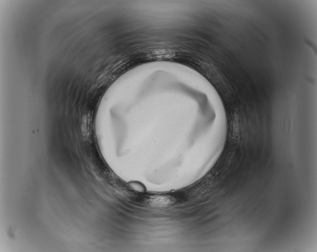 X0000100760218200807171349