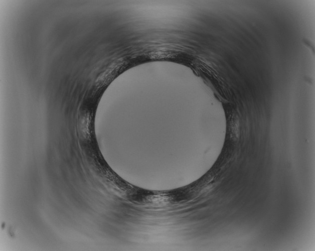 X0000100760219200807171349