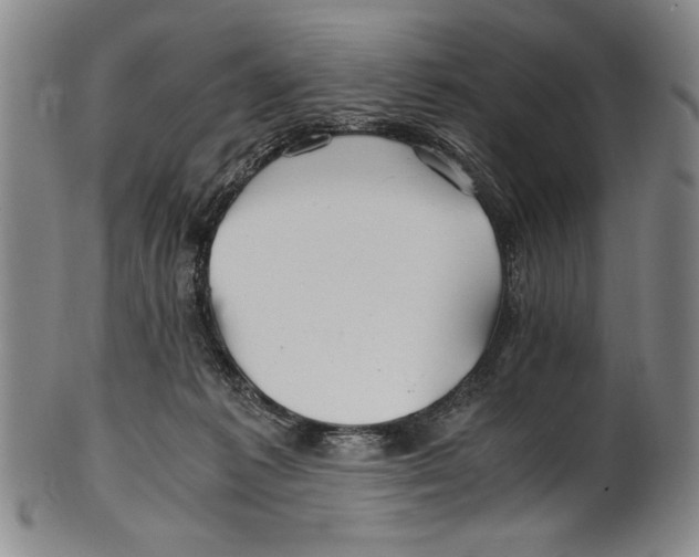 X0000100760221200807171349