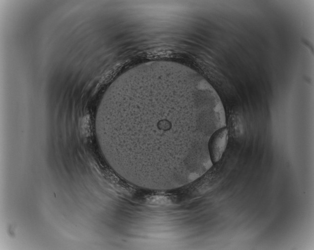 X0000100760224200807171349