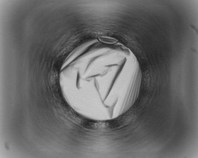 X0000100760225200807171349