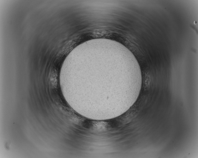 X0000100760226200807171349