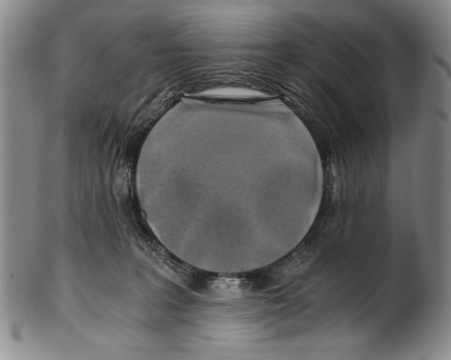 X0000100760227200807171349