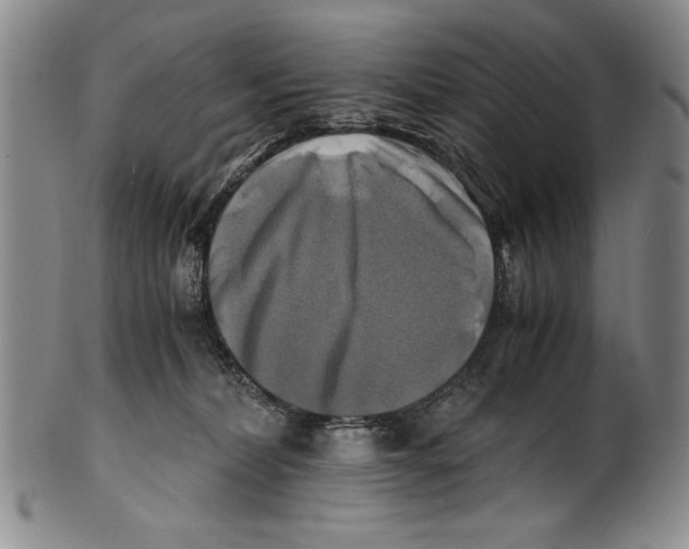 X0000100760228200807171349