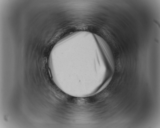 X0000100760229200807171349