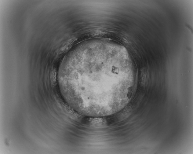 X0000100760230200807171349