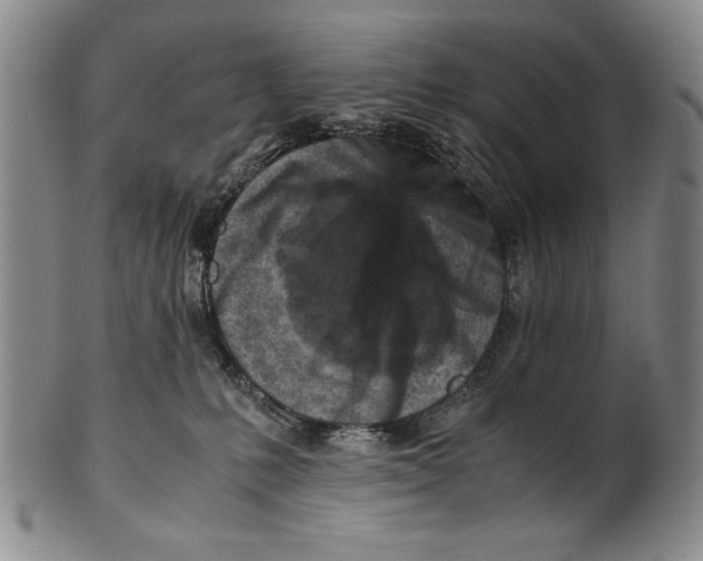 X0000100760231200807171349