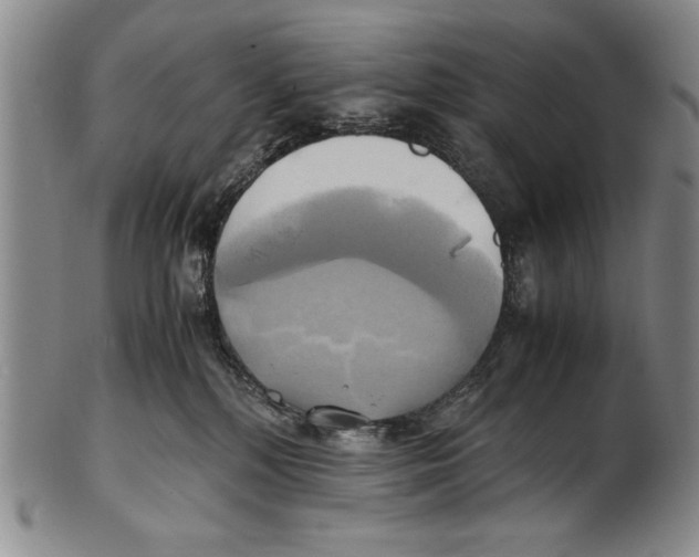 X0000100760232200807171349