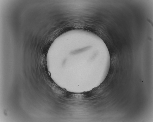 X0000100760233200807171349