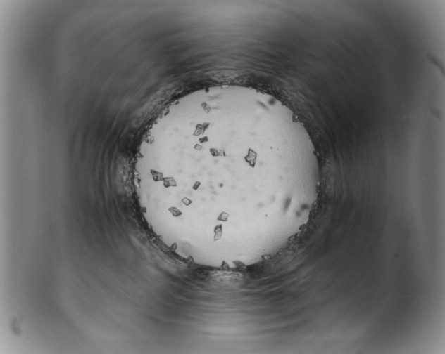 X0000100760234200807171349