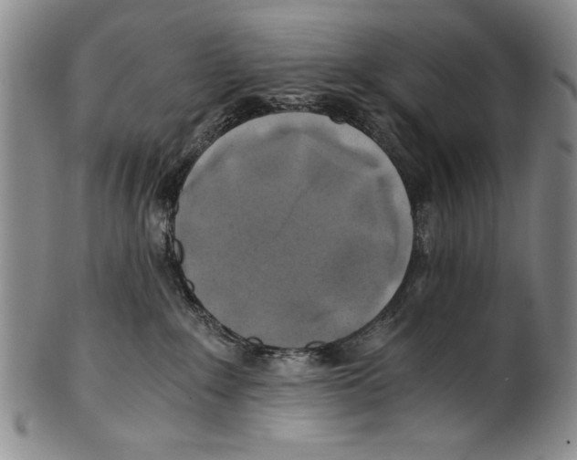 X0000100760235200807171349
