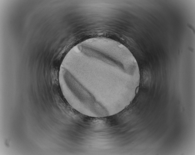 X0000100760236200807171349