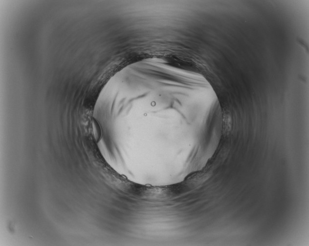 X0000100760237200807171349
