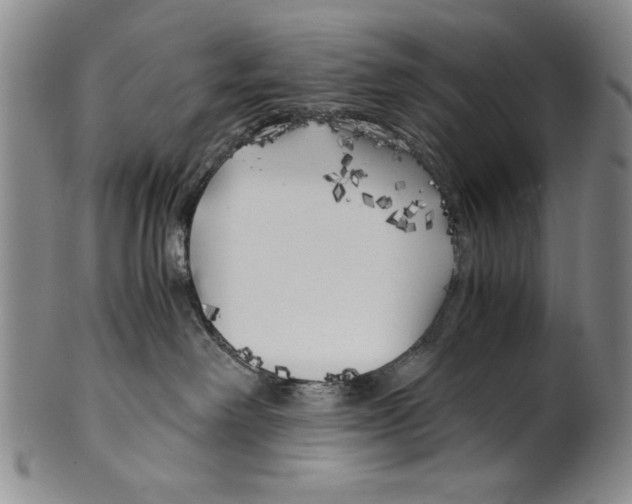 X0000100760238200807171349