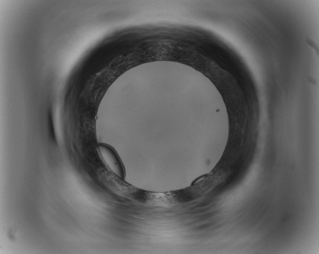 X0000100760239200807171349