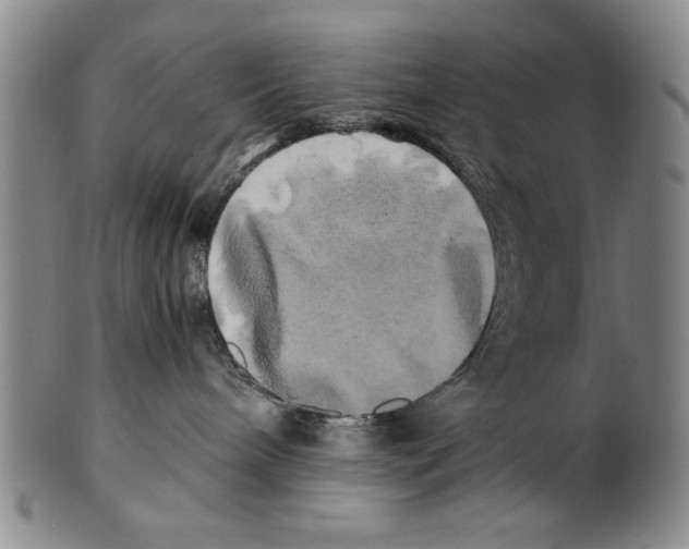 X0000100760240200807171349