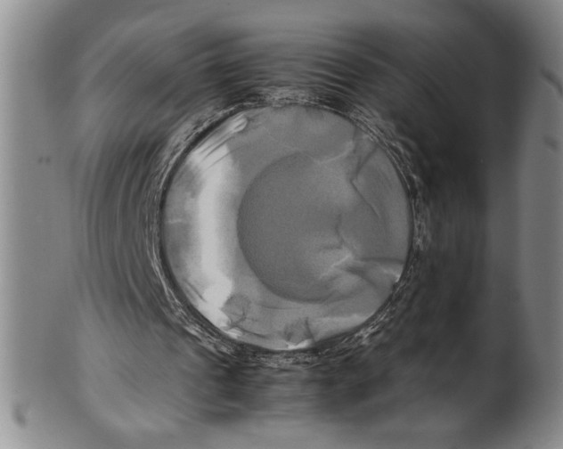 X0000100760241200807171348