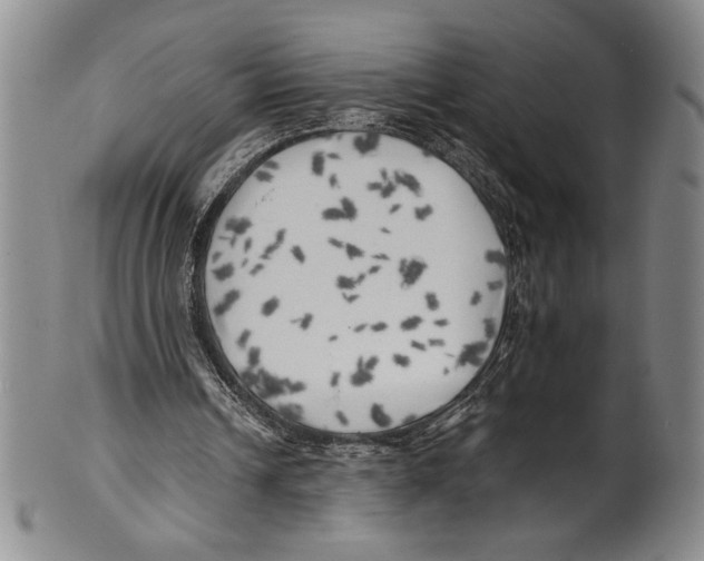 X0000100760242200807171348