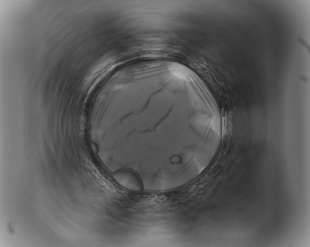 X0000100760243200807171348