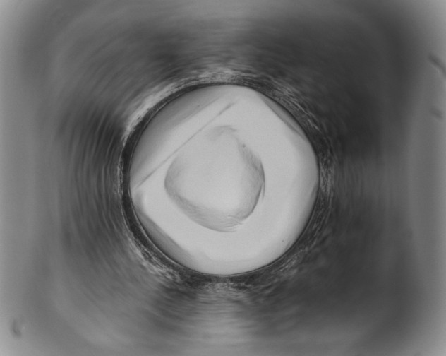 X0000100760244200807171348