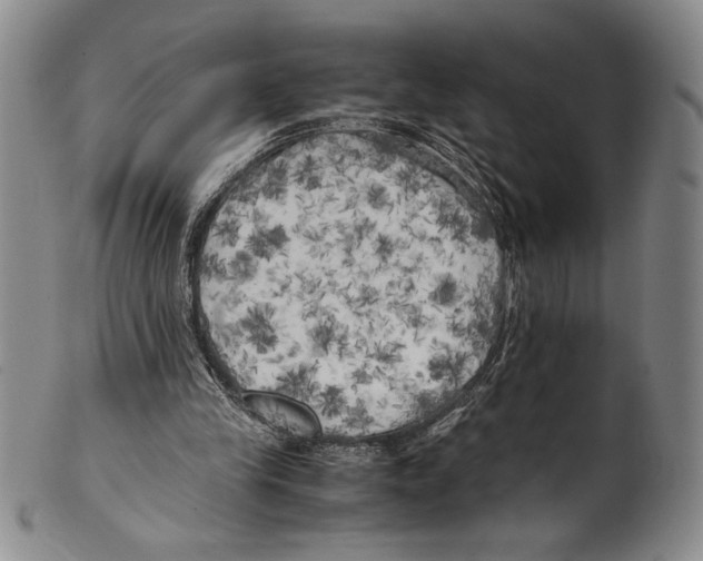 X0000100760245200807171348