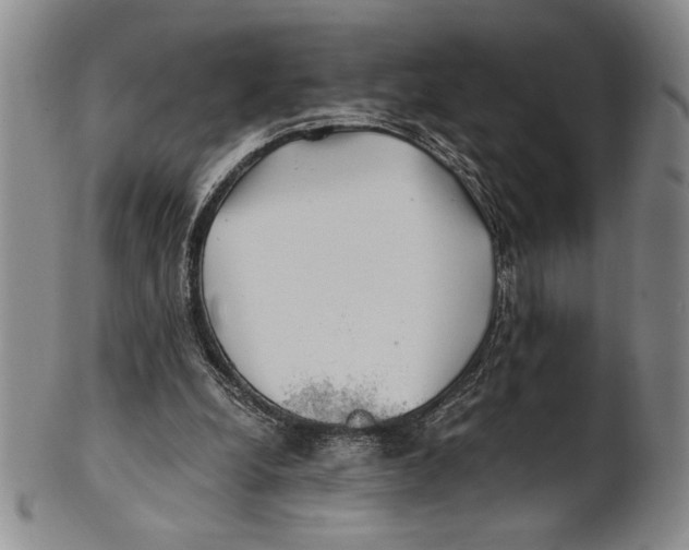 X0000100760248200807171348