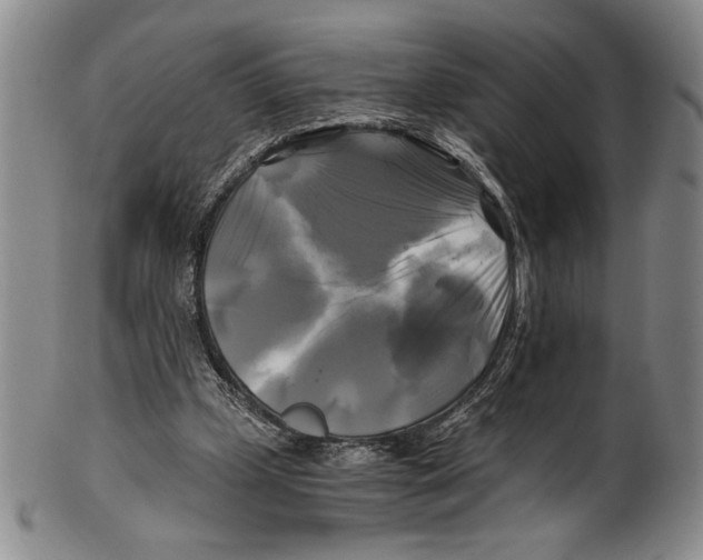 X0000100760249200807171348