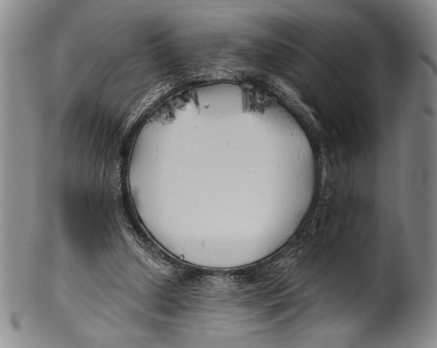 X0000100760250200807171348