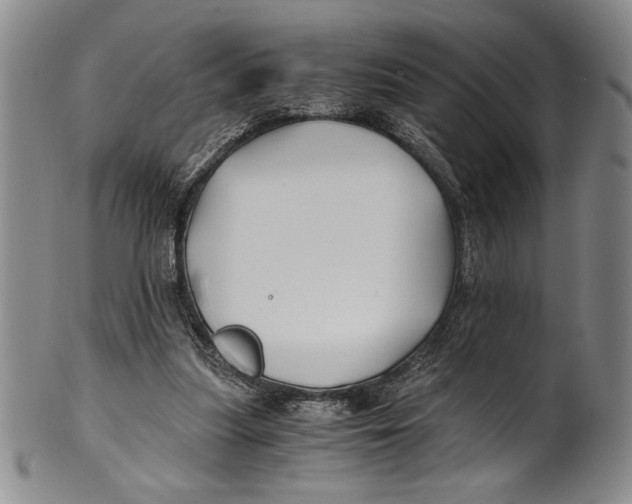 X0000100760251200807171348