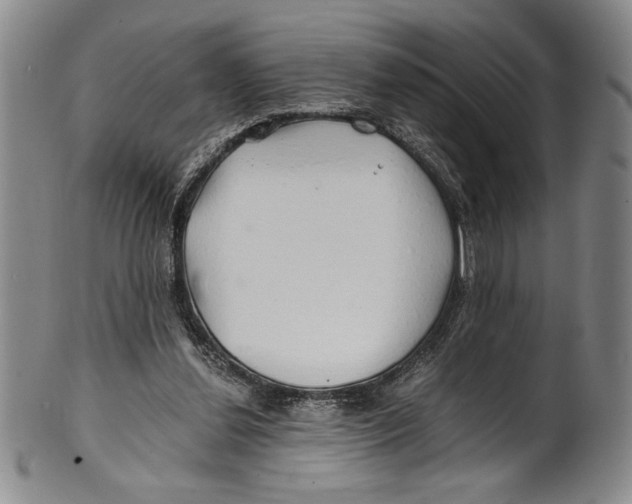 X0000100760252200807171348